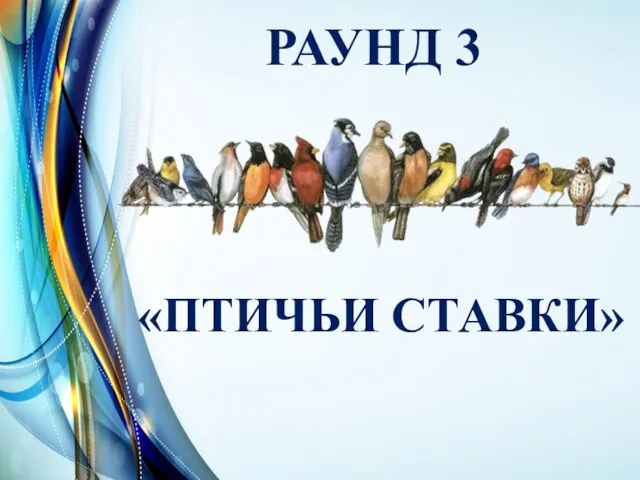 РАУНД 3 «ПТИЧЬИ СТАВКИ»