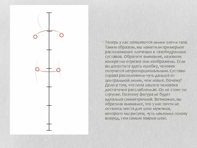 Теперь у нас появляются линии плеч и таза. Таким образом, мы наметили