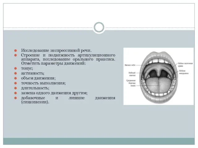 Исследование экспрессивной речи. Строение и подвижность артикуляционного аппарата, исследование орального праксиса. Отметить