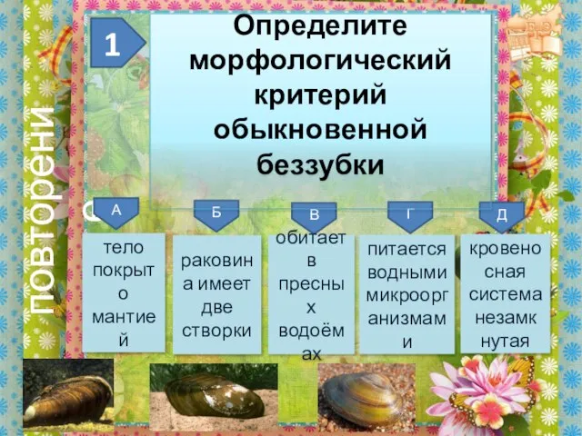 повторение кровеносная система незамк нутая 1 Д Г В Б А питается