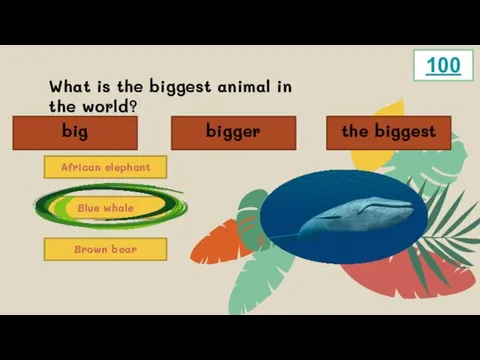 What is the biggest animal in the world? African elephant Blue whale