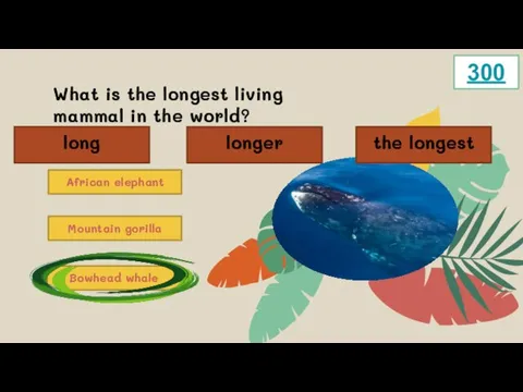 What is the longest living mammal in the world? African elephant Bowhead