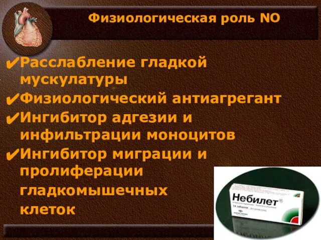 Физиологическая роль NO Расслабление гладкой мускулатуры Физиологический антиагрегант Ингибитор адгезии и инфильтрации