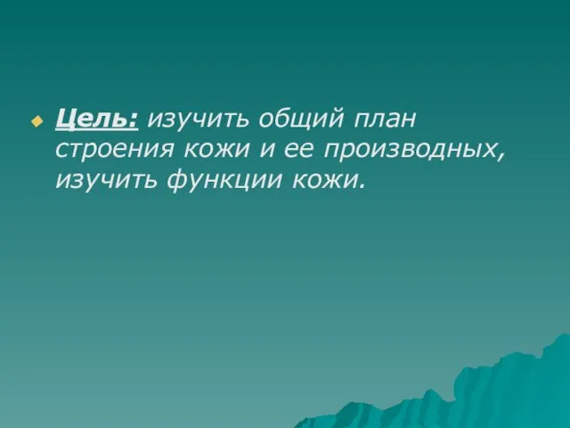 Цель: изучить общий план строения кожи и ее производных, изучить функции кожи.