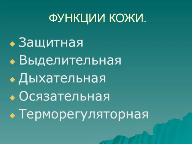 ФУНКЦИИ КОЖИ. Защитная Выделительная Дыхательная Осязательная Терморегуляторная