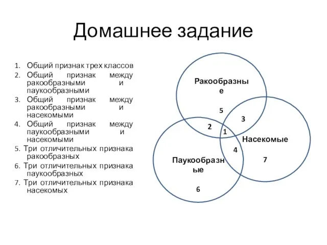 Домашнее задание 1. Общий признак трех классов 2. Общий признак между ракообразными