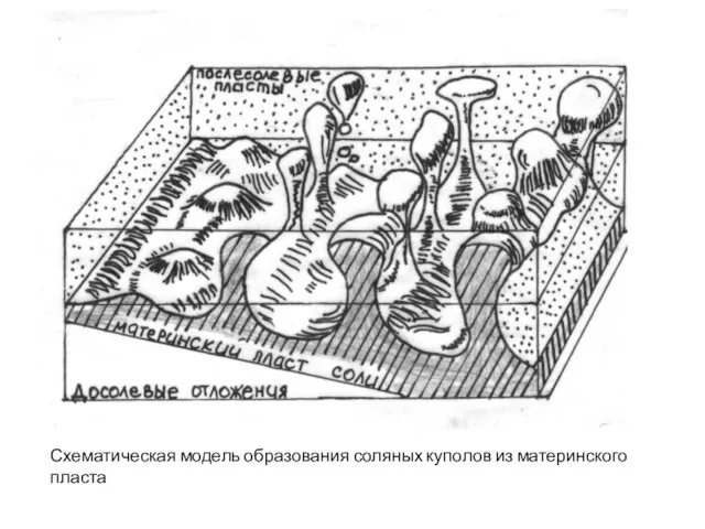 Схематическая модель образования соляных куполов из материнского пласта