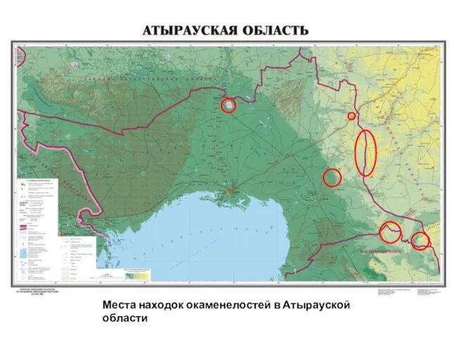 Места находок окаменелостей в Атырауской области