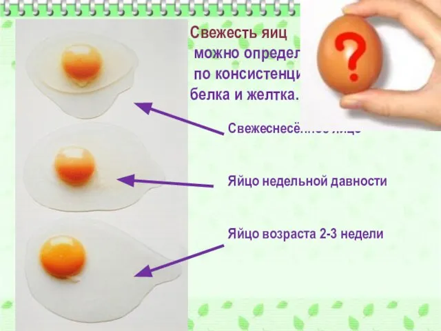 Свежесть яиц можно определить по консистенции белка и желтка. Свежеснесённое яйцо Яйцо