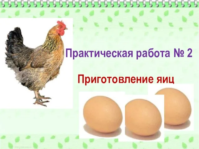 Приготовление яиц Практическая работа № 2