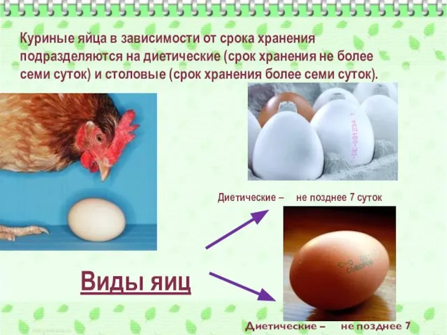 Куриные яйца в зависимости от срока хранения подразделяются на диетические (срок хранения