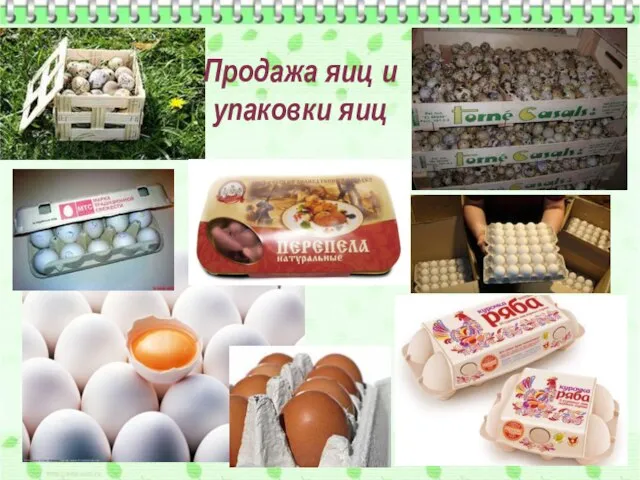 Продажа яиц и упаковки яиц