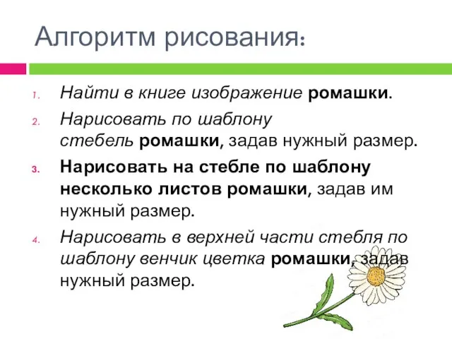 Алгоритм рисования: Найти в книге изображение ромашки. Нарисовать по шаблону стебель ромашки,