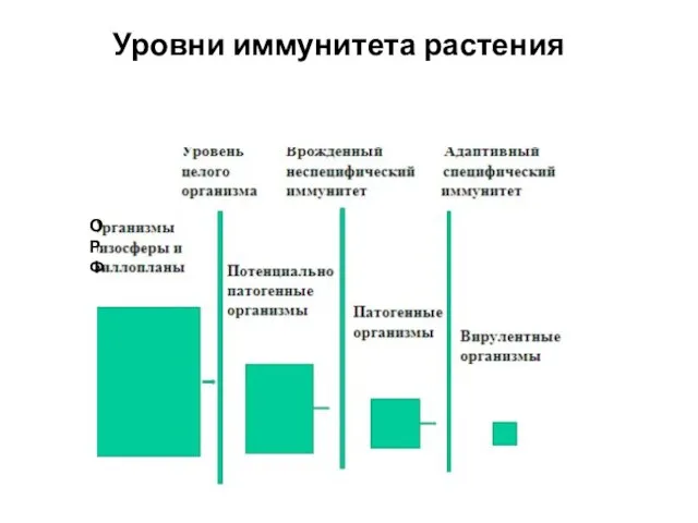 О Р Ф Уровни иммунитета растения