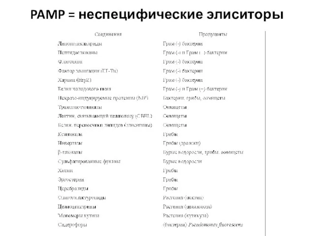 PAMP = неспецифические элиситоры