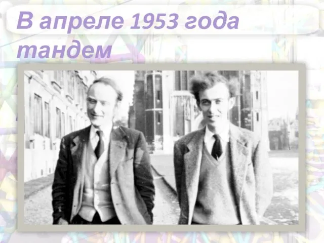 В апреле 1953 года тандем Крика и Уотсона распался.