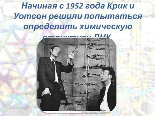 Начиная с 1952 года Крик и Уотсон решили попытаться определить химическую структуру ДНК.