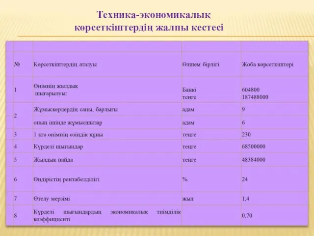 Техника-экономикалық көрсеткіштердің жалпы кестесі