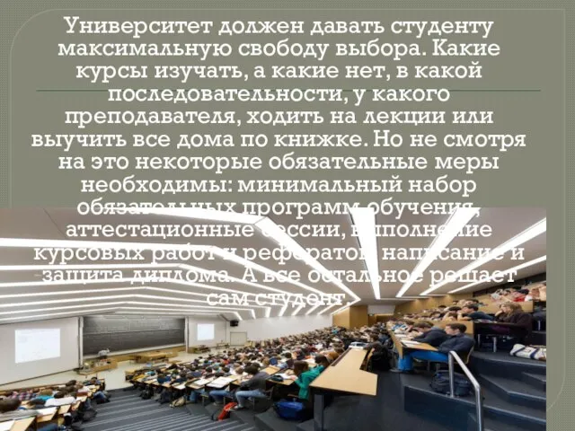 Университет должен давать студенту максимальную свободу выбора. Какие курсы изучать, а какие