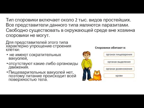 Тип споровики включает около 2 тыс. видов простейших. Все представители данного типа