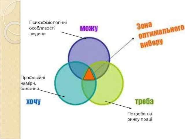 Психофізіологічні особливості людини Професійні наміри, бажання Потреби на ринку праці