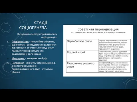 СТАДІЇ СОЦІОГЕНЕЗА В сучасній літературі прийнято таку періодизацію: Первісне стадо – непостійна