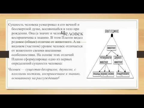 Человек Сущность человека усматривал в его вечной и бессмертной душе, вселяющейся в