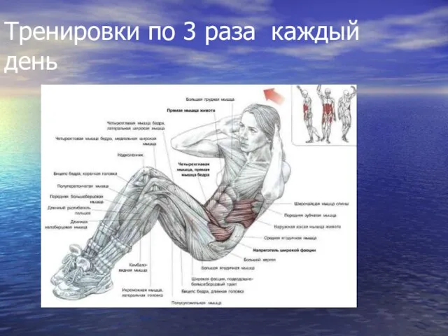 Тренировки по 3 раза каждый день