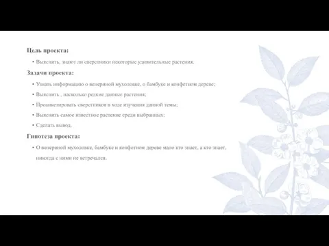 Цель проекта: Выяснить, знают ли сверстники некоторые удивительные растения. Задачи проекта: Узнать