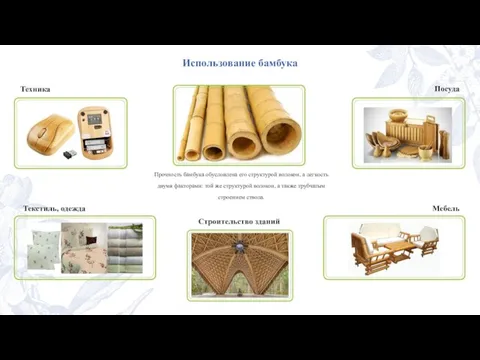 Использование бамбука Прочность бамбука обусловлена его структурой волокон, а легкость двумя факторами: