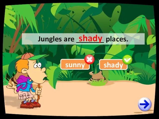sunny Jungles are _______ places. shady shady