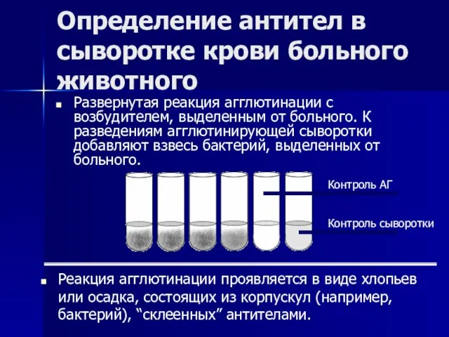 Определение антител в сыворотке крови больного животного Развернутая реакция агглютинации с возбудителем,