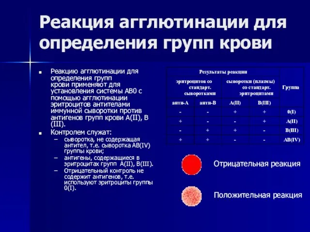 Реакция агглютинации для определения групп крови Реакцию агглютинации для определения групп крови