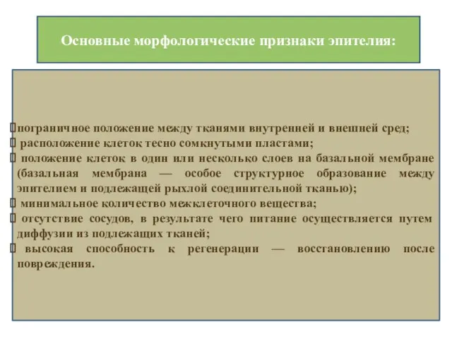 Основные морфологические признаки эпителия: пограничное положение между тканями внутренней и внешней сред;