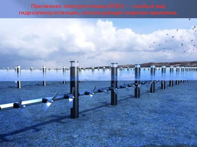Приливная электростанция (ПЭС) — особый вид гидроэлектростанции, использующий энергию приливов.
