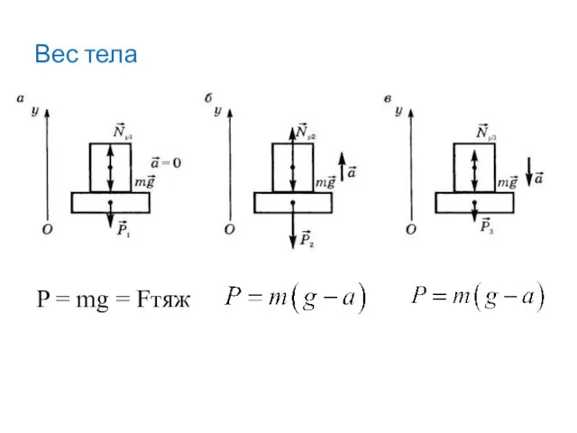 Вес тела P = mg = Fтяж