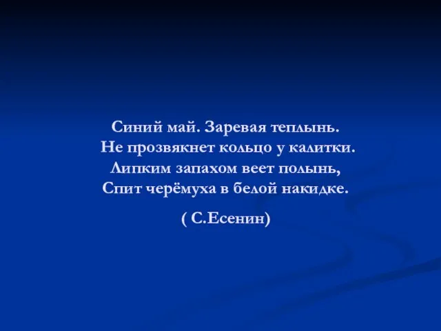 Синий май. Заревая теплынь. Не прозвякнет кольцо у калитки. Липким запахом веет