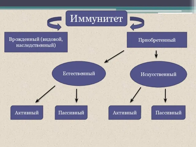 Иммунитет Врожденный (видовой, наследственный) Приобретенный Естественный Искусственный Активный Пассивный Активный Пассивный