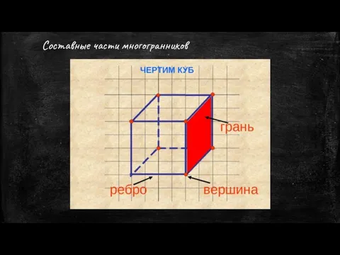 Составные части многогранников