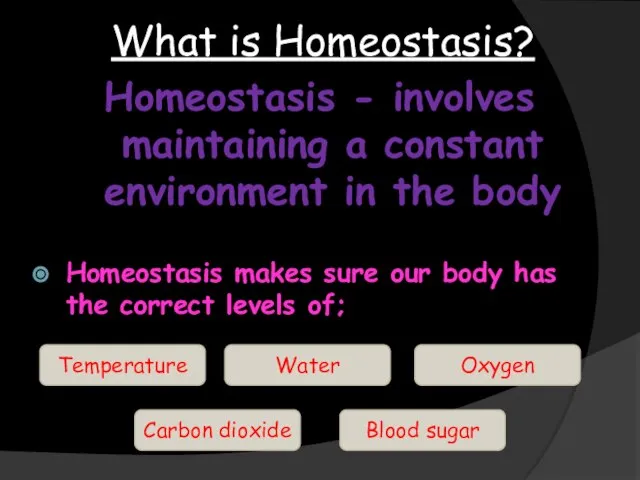 What is Homeostasis? Homeostasis - involves maintaining a constant environment in the