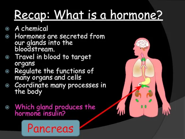 Recap: What is a hormone? A chemical Hormones are secreted from our