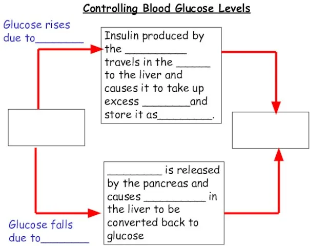 Controlling Blood Glucose Levels Insulin produced by the _________ travels in the