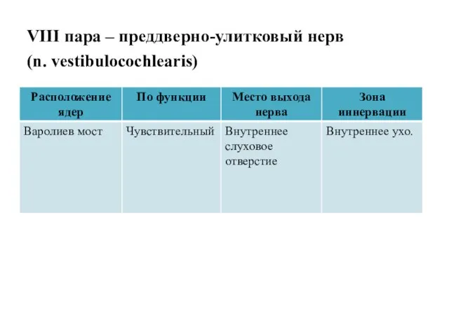 VIII пара – преддверно-улитковый нерв (n. vestibulocochlearis)