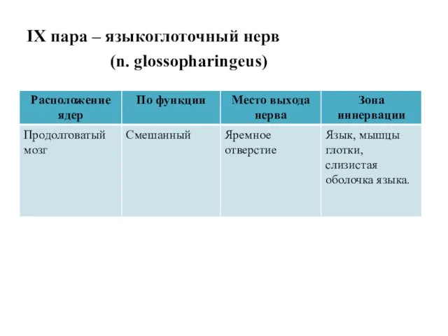 IX пара – языкоглоточный нерв (n. glossopharingeus)