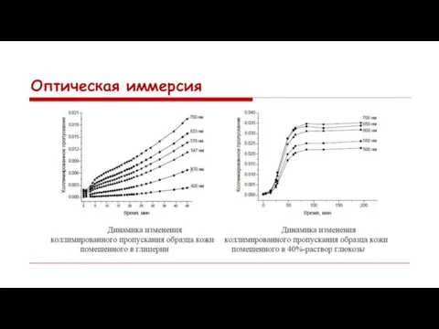 Оптическая иммерсия