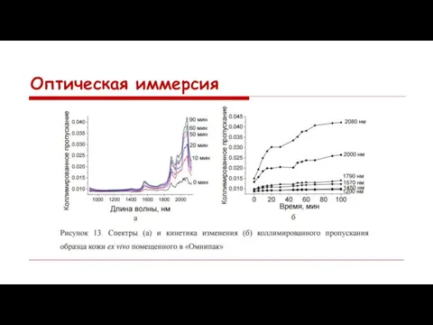 Оптическая иммерсия