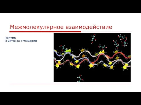 Межмолекулярное взаимодействие Пептид ((GPH)3)10+глицерин