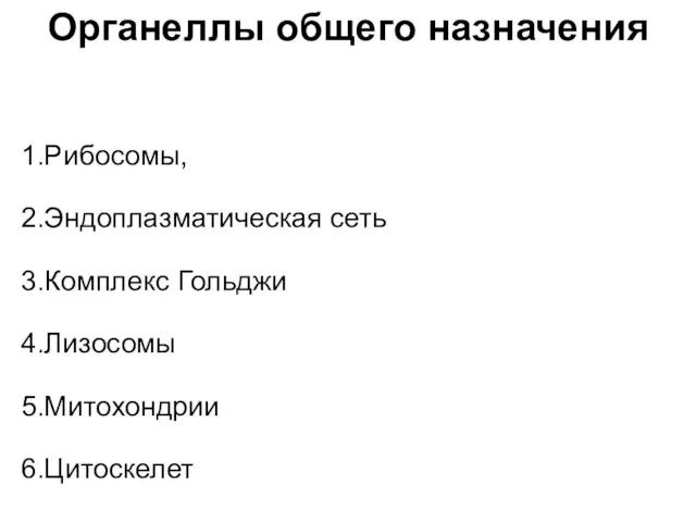 Органеллы общего назначения 1.Рибосомы, 2.Эндоплазматическая сеть 3.Комплекс Гольджи 4.Лизосомы 5.Митохондрии 6.Цитоскелет