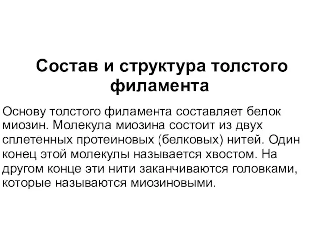 Состав и структура толстого филамента Основу толстого филамента составляет белок миозин. Молекула