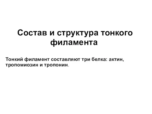 Состав и структура тонкого филамента Тонкий филамент составляют три белка: актин, тропомиозин и тропонин.